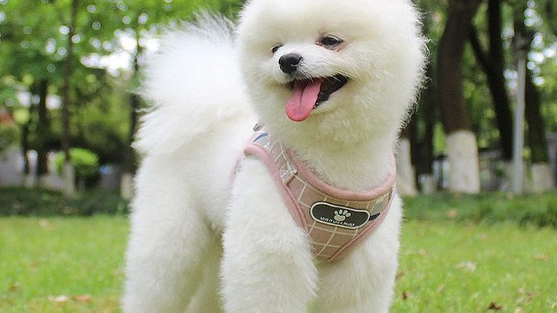 冷库建造成本，你真的了解吗？**